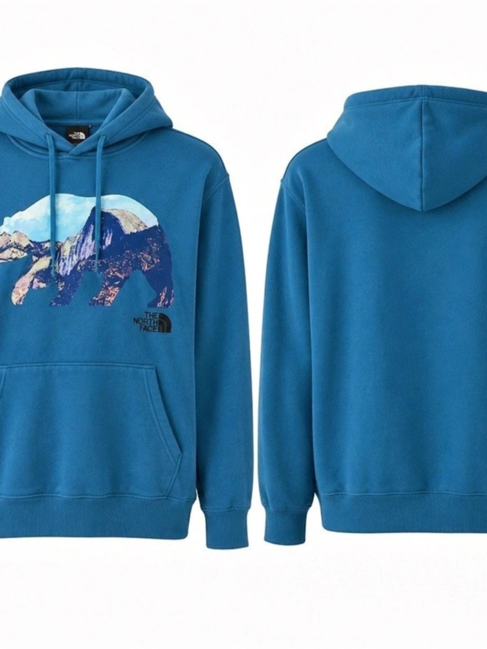 The North Face Evolution Mountain Bear Hoodie Blue